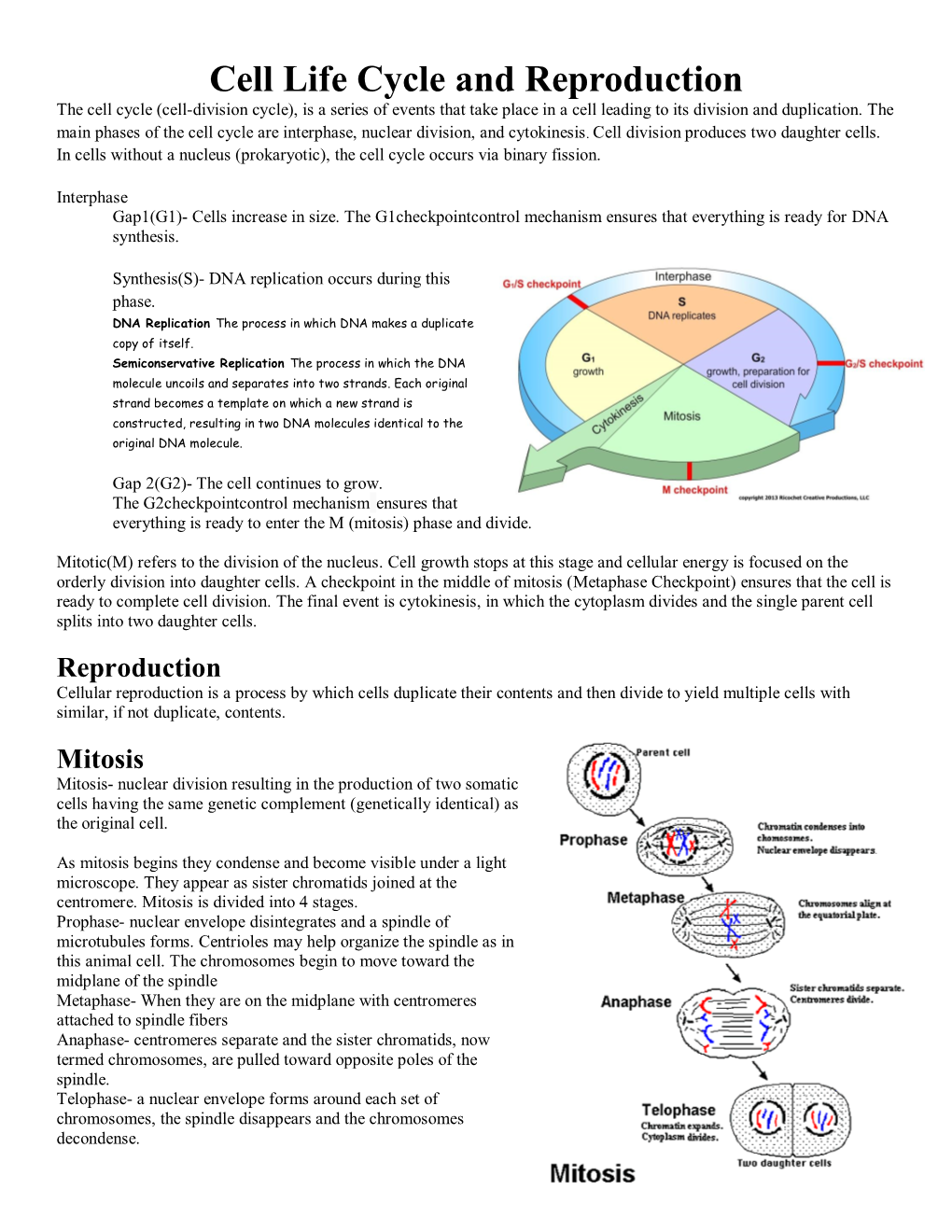 Cell Life Cycle and Reproduction the Cell Cycle (Cell-Division Cycle), Is a Series of Events That Take Place in a Cell Leading to Its Division and Duplication