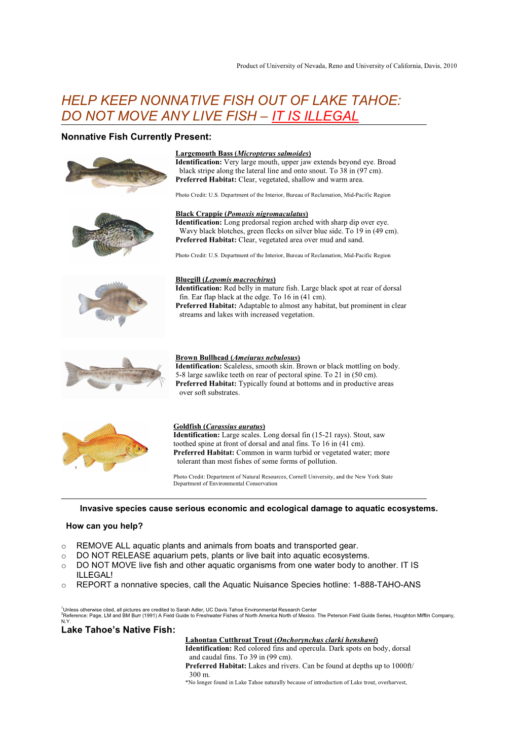 Tahoe Fish Pamphlet 2Sided