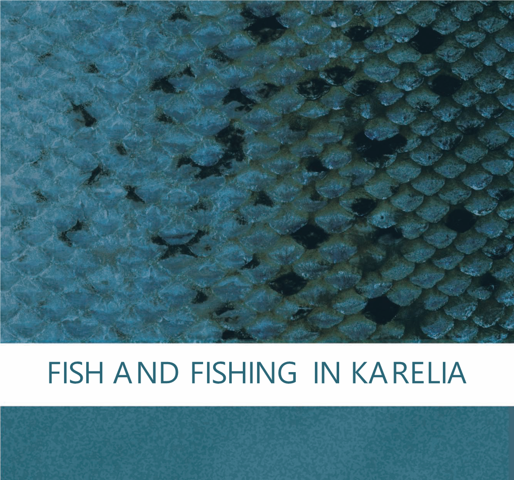 Fish and Fishing in Karelia Удк 597.2/.5+639.2(470.2) Ббк 28.693.32.(2Рос.Кар.) I-54