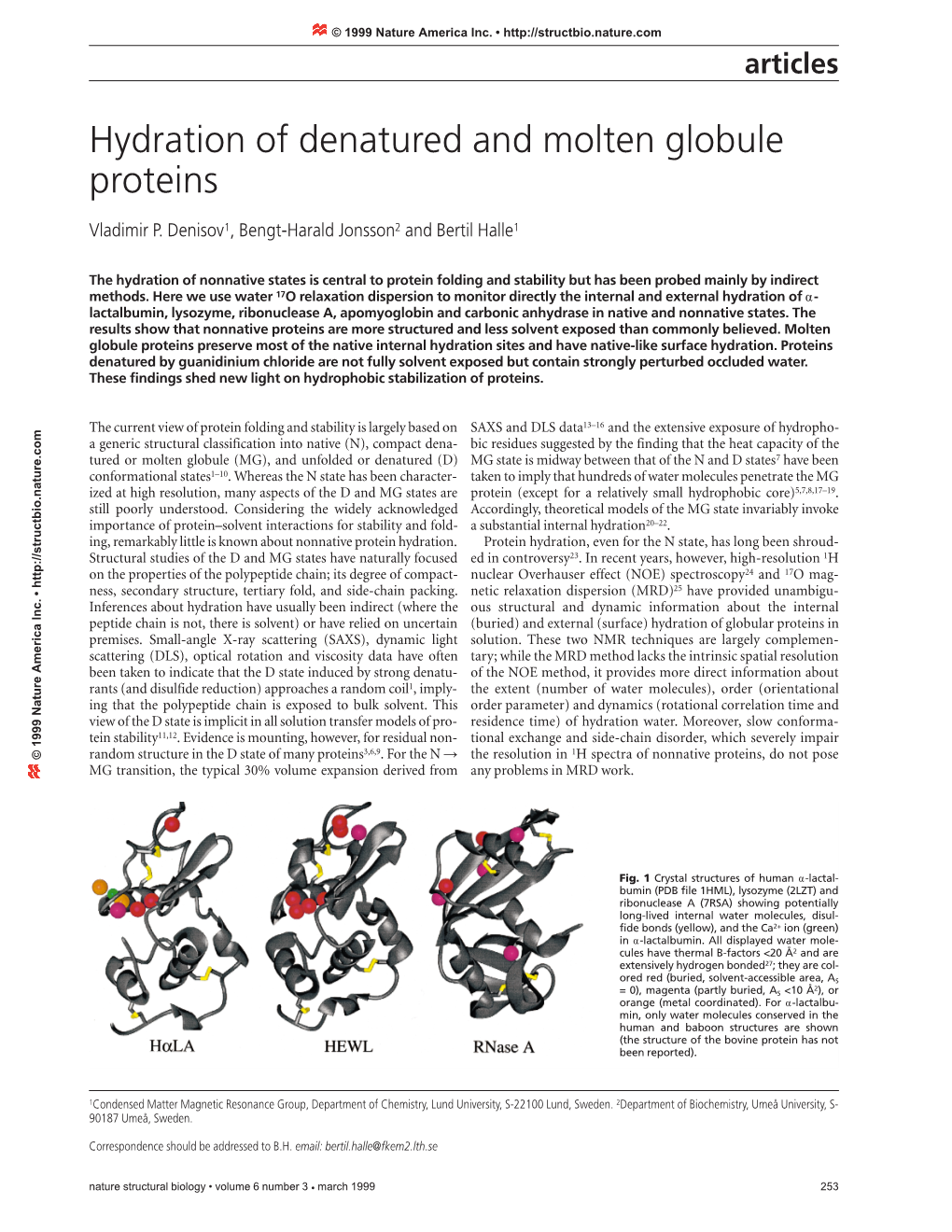 Hydration of Denatured and Molten Globule Proteins