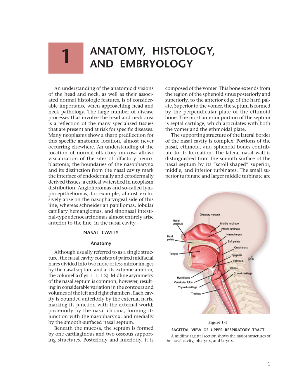 Anatomy, Histology, and Embryology