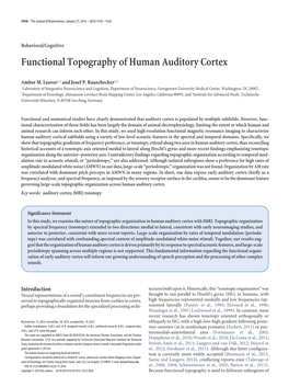 Functional Topography of Human Auditory Cortex