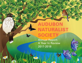 ANS Annual Report 2018