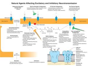 Natural Agents Affecting Excitatory and Inhibitory Neurotransmission