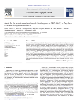 A Role for the Vesicle-Associated Tubulin Binding Protein ARL6 (BBS3) in ﬂagellum Extension in Trypanosoma Brucei