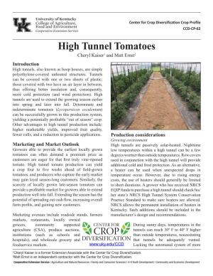 Tomatoes, High Tunnel