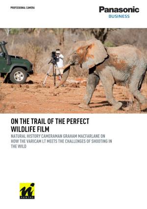 On the Trail of the Perfect Wildlife Film Natural History Cameraman Graham Macfarlane on How the Varicam Lt Meets the Challenges of Shooting in the Wild