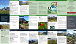 Backcountry Trails in Banff National Park, Visit a Parks Authorities