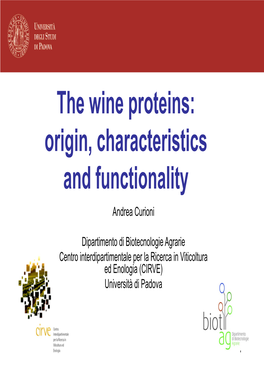 The Wine Proteins: Origin, Characteristics and Functionality Andrea Curioni