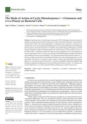 Limonene and (+)-Α-Pinene on Bacterial Cells