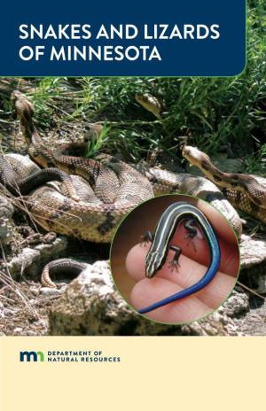 Snake and Lizards of Minnesota
