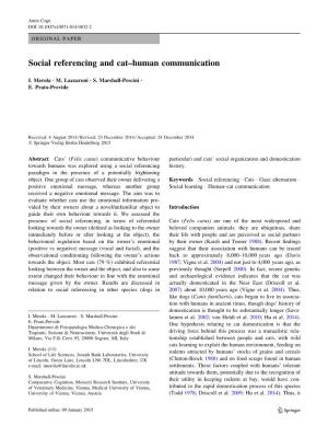 Social Referencing and Cat–Human Communication
