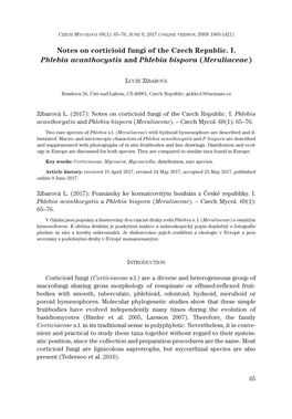 Notes on Corticioid Fungi of the Czech Republic. I. Phlebia Acanthocystis and Phlebia Bispora (Meruliaceae)