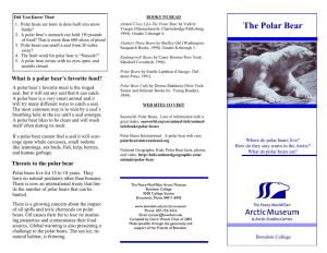 Polar Bear Brochure.Pdf