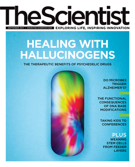 Healing with Hallucinogens the Therapeutic Benefits of Psychedelic Drugs