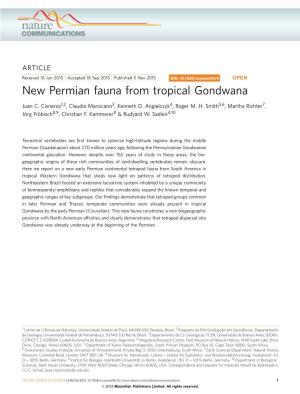 New Permian Fauna from Tropical Gondwana