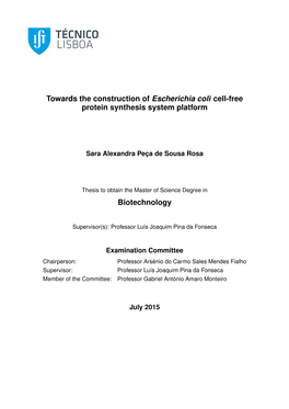 Towards the Construction of Escherichia Coli Cell-Free Protein Synthesis System Platform