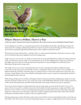 Nature Notes from Kankakee Sands