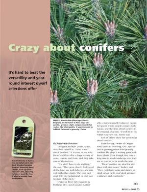 Crazy About Conifers