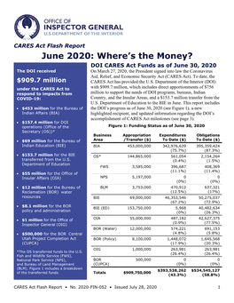 DOI OIG CARES Act Where's the Money, June 2020 Issue