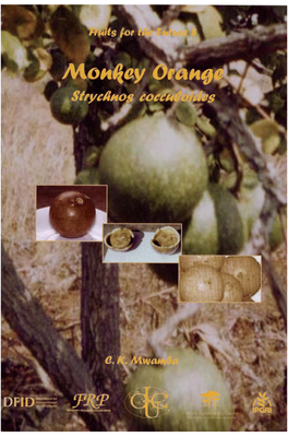 Monkey Orange Strychnos Cocculoides