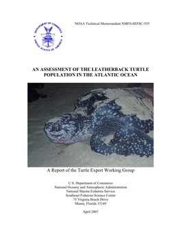 An Assessment of the Leatherback Turtle Population in the Atlantic Ocean