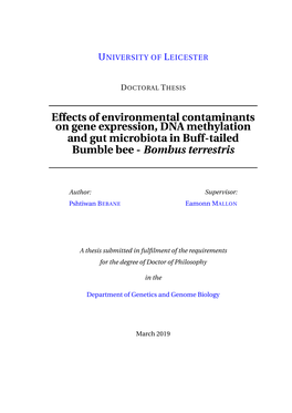 Effects of Environmental Contaminants on Gene Expression, DNA Methylation and Gut Microbiota in Buff-Tailed Bumble Bee - Bombus Terrestris
