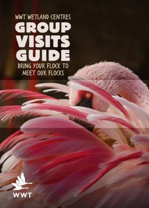 WWT Wetland Centres Bring Your Flock to Meet Our Flocks