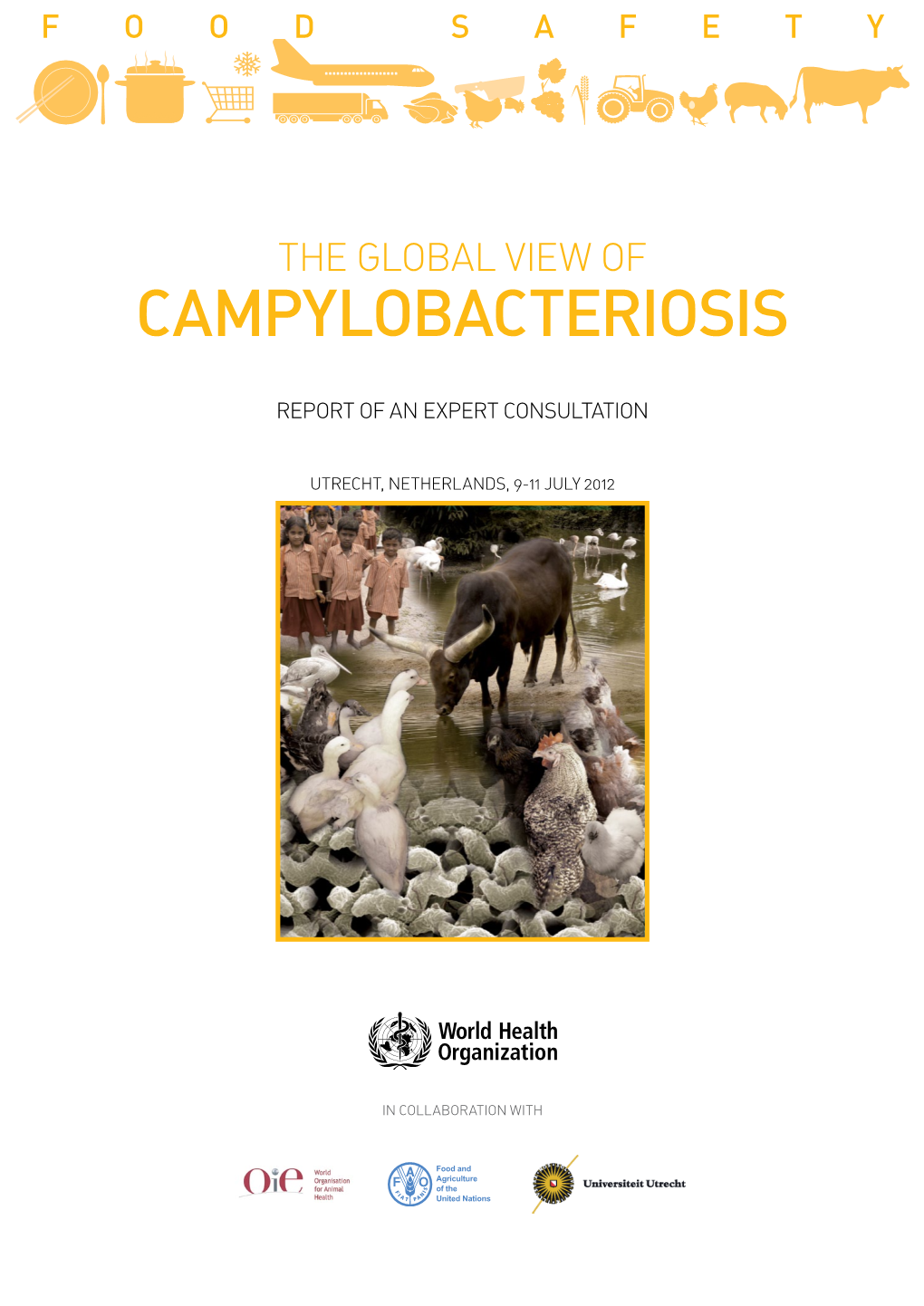 The Global View of Campylobacteriosis