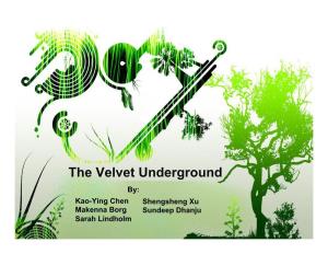 The Velvet Underground By: Kao-Ying Chen Shengsheng Xu Makenna Borg Sundeep Dhanju Sarah Lindholm Group Introduction