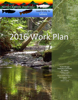 NOPLE Work Plan 2016