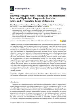 Bioprospecting for Novel Halophilic and Halotolerant Sources of Hydrolytic Enzymes in Brackish, Saline and Hypersaline Lakes of Romania