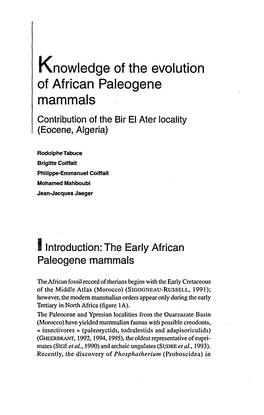 Knowledge of the Evolution of African Paleogene Mammals