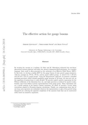 The Effective Action for Gauge Bosons Arxiv:1810.06994V1 [Hep-Ph]