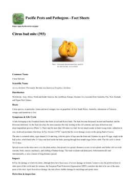 Citrus Bud Mite (393)