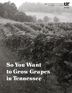 So You Want to Grow Grapes in Tennessee