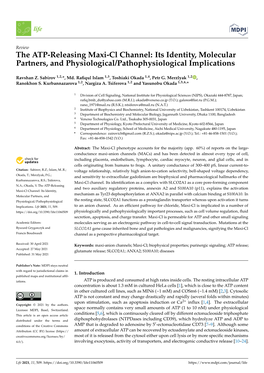 The ATP-Releasing Maxi-Cl Channel: Its Identity, Molecular Partners, and Physiological/Pathophysiological Implications