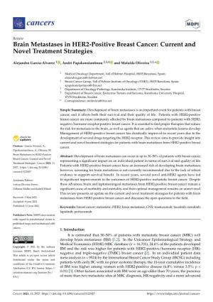 Brain Metastases in HER2-Positive Breast Cancer: Current and Novel Treatment Strategies