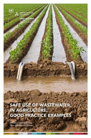 Safe Use of Wastewater in Agriculture: Good Practice Examples
