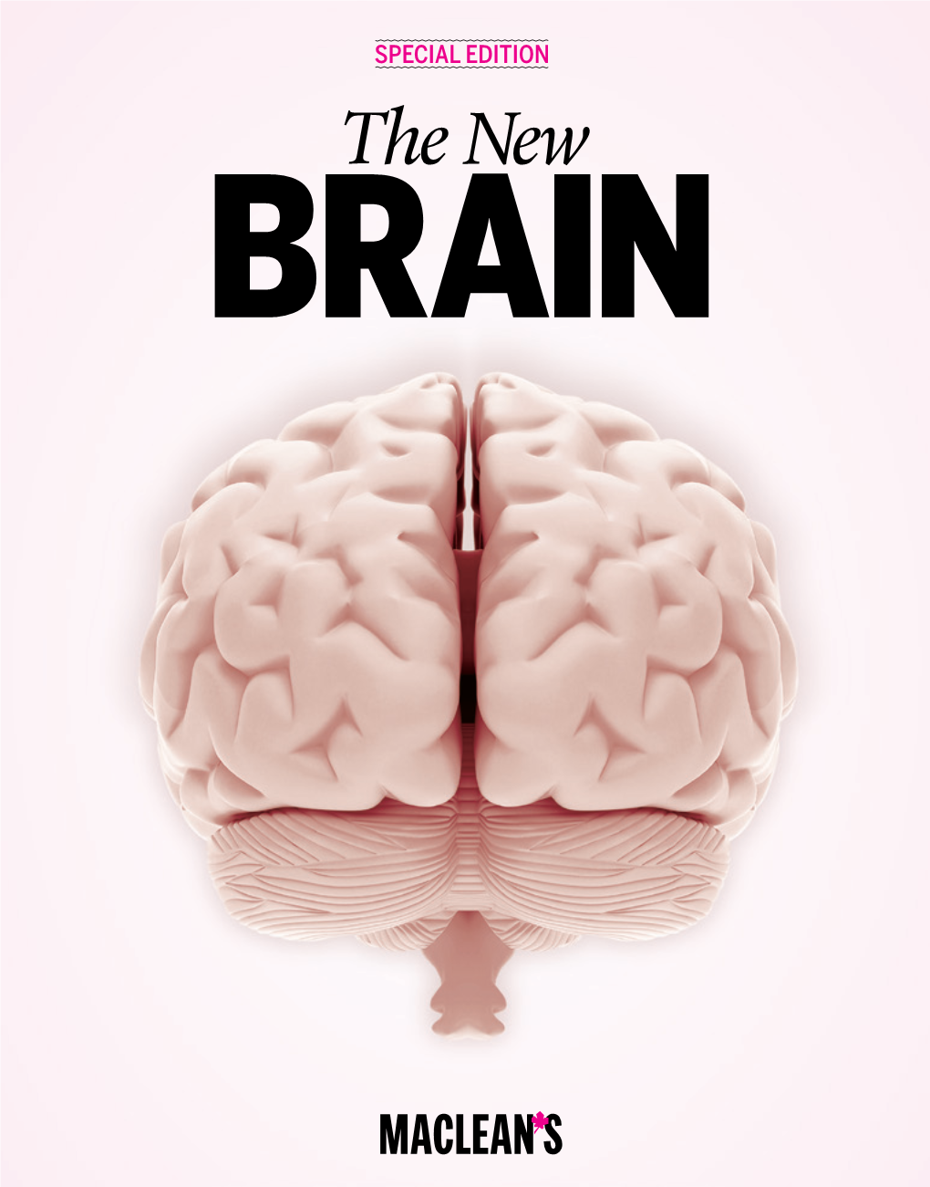 The New BRAIN