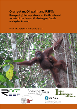 Orangutan, Oil Palm and RSPO: Recognising the Importance of the Threatened Forests of the Lower Kinabatangan, Sabah, Malaysian Borneo