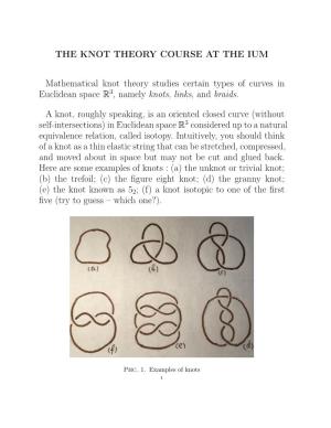 The Knot Theory Course at the Ium
