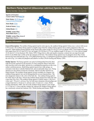 Northern Flying Squirrel (Glaucomys Sabrinus) Species Guidance Family: Sciuridae – the Squirrels