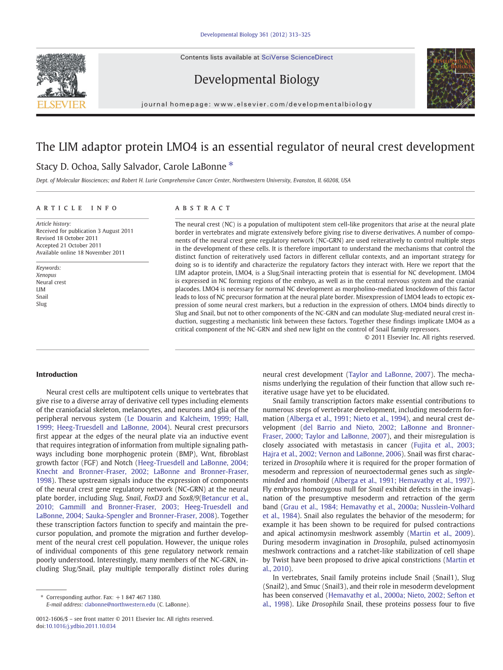 The LIM Adaptor Protein LMO4 Is an Essential Regulator of Neural Crest Development