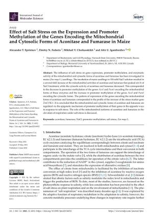 Effect of Salt Stress on the Expression and Promoter Methylation of the Genes Encoding the Mitochondrial and Cytosolic Forms of Aconitase and Fumarase in Maize