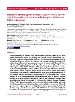 Detection of Pathogenic Bacteria Staphylococcus Aureus and Salmonella Sp. from Raw Milk Samples of Different Cities of Pakistan