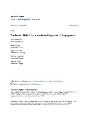 The Formin FMNL3 Is a Cytoskeletal Regulator of Angiogenesis