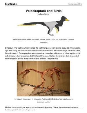 Velociraptors and Birds