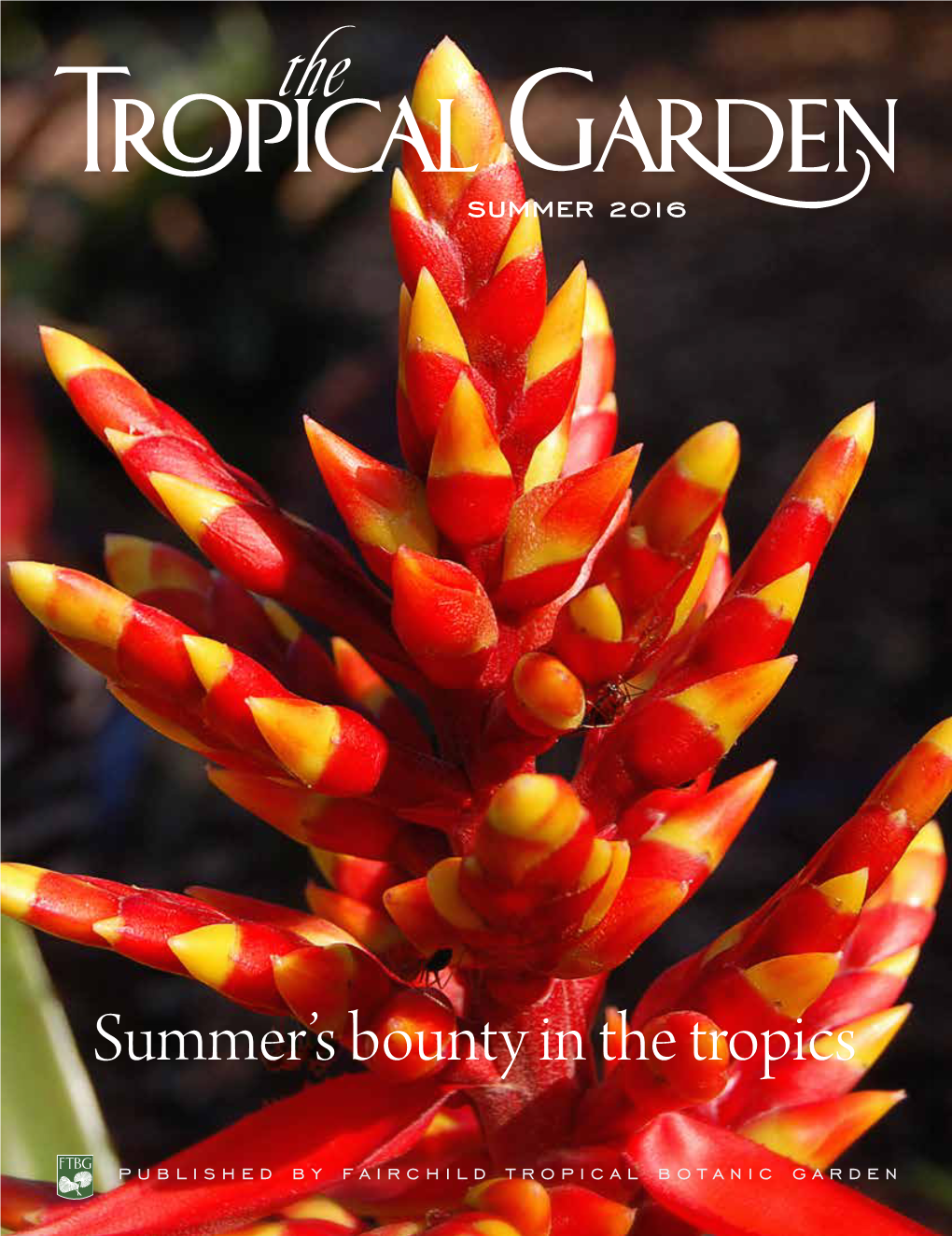 Tropical Garden Summer 2016