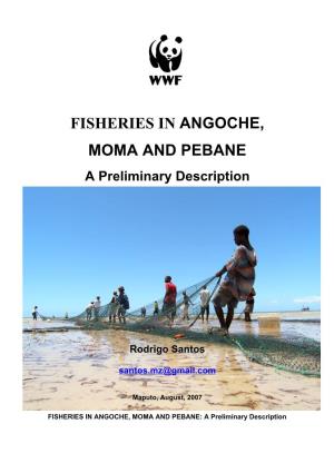 FISHERIES in ANGOCHE, MOMA and PEBANE a Preliminary Description